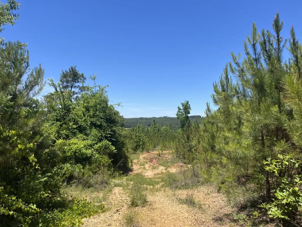 0 County Road 42 Hamilton AL 35570