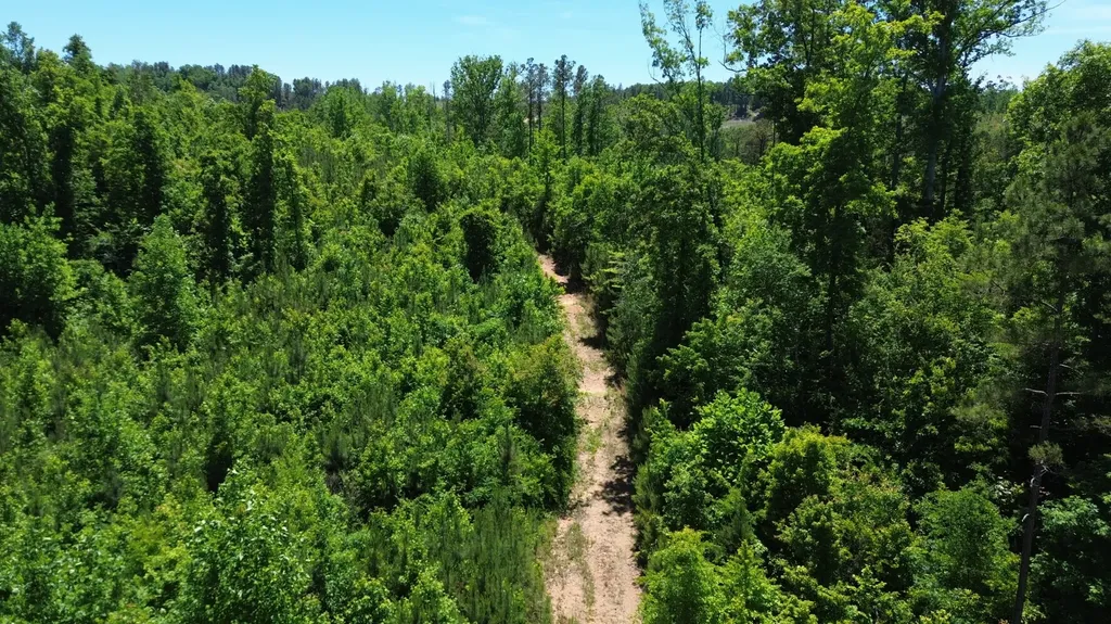 0 County Road 42 Hamilton AL 35570