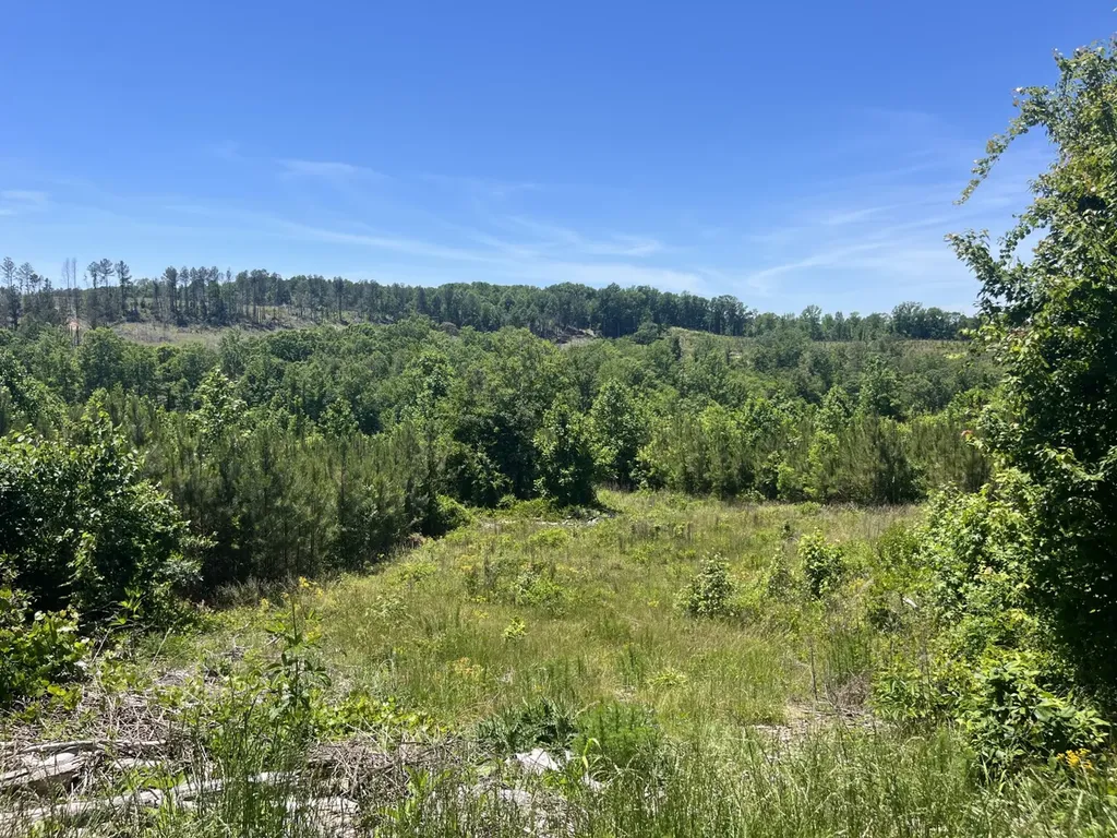 0 County Road 42 Hamilton AL 35570