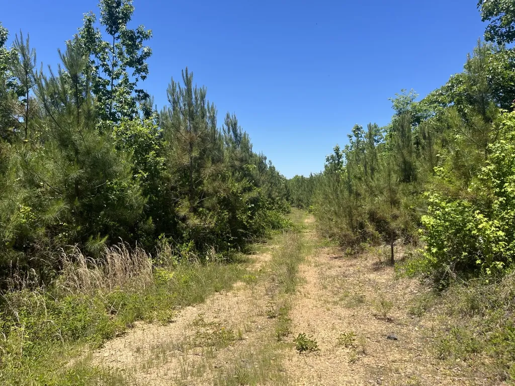0 County Road 42 Hamilton AL 35570