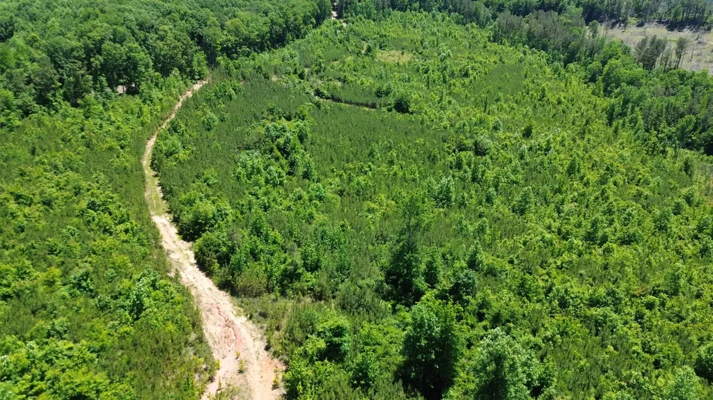 0 County Road 42 Hamilton AL 35570