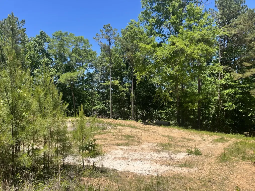 0 County Road 42 Hamilton AL 35570