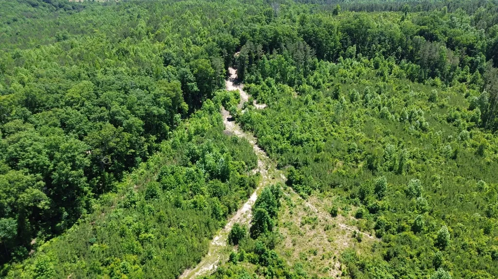 0 County Road 42 Hamilton AL 35570
