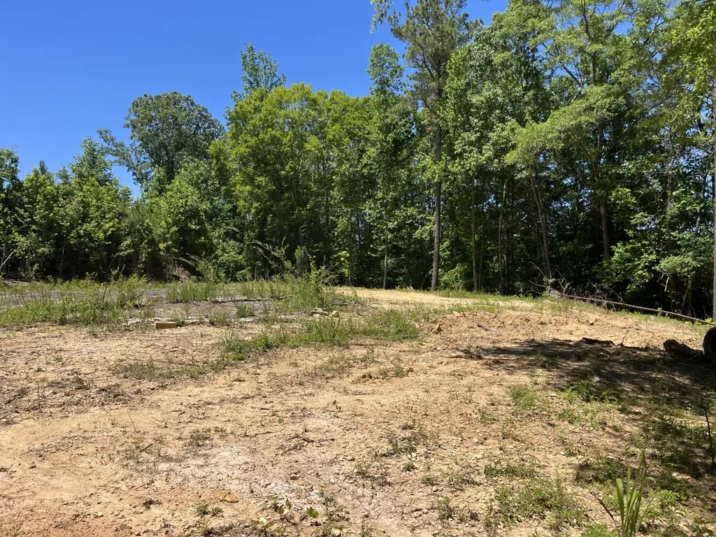 0 County Road 42 Hamilton AL 35570