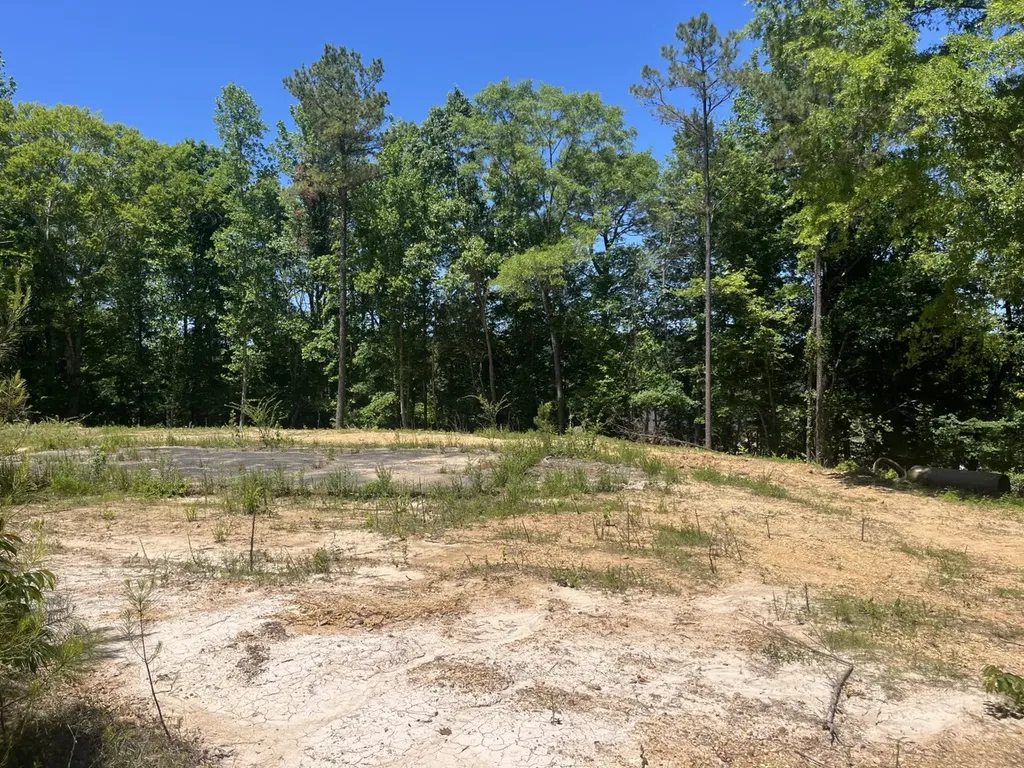 0 County Road 42 Hamilton AL 35570