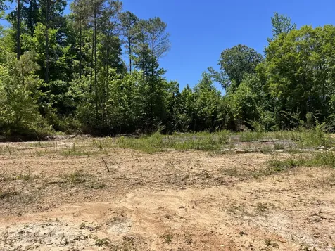 0 County Road 42 Hamilton AL 35570