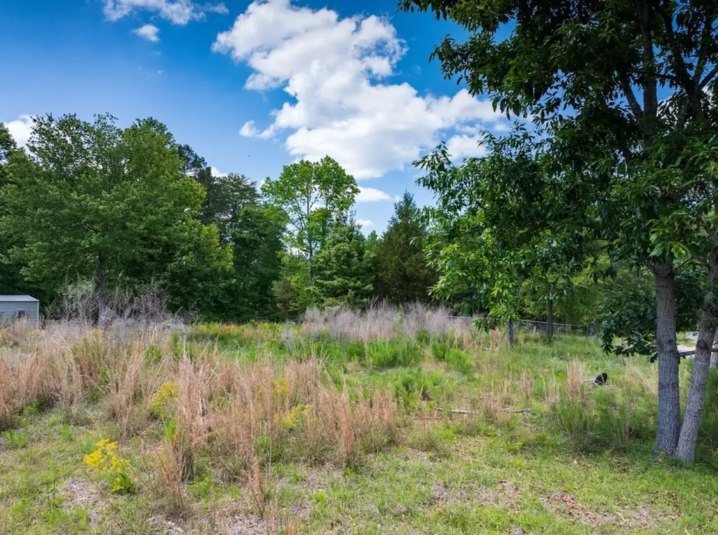 0 County Road 3084 Double Springs AL 35553