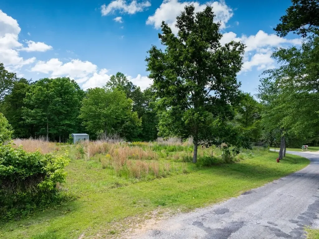 0 County Road 3084 Double Springs AL 35553