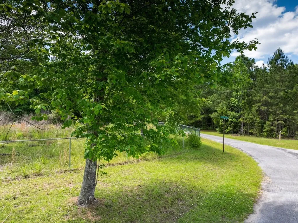 0 County Road 3084 Double Springs AL 35553