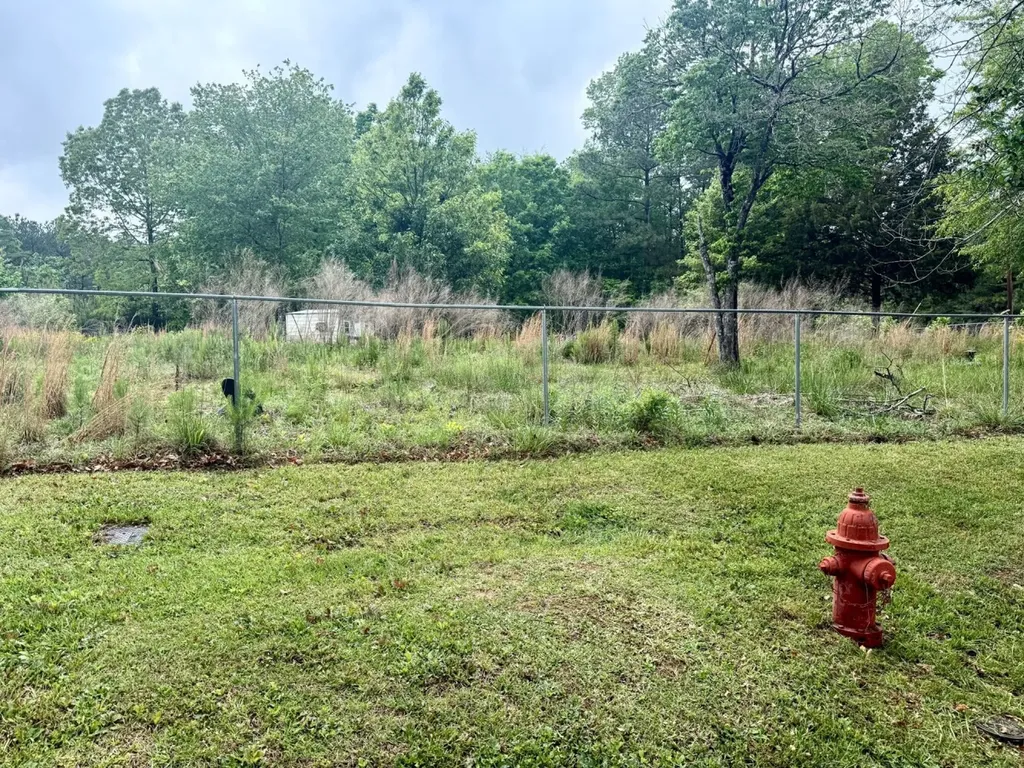 0 County Road 3084 Double Springs AL 35553