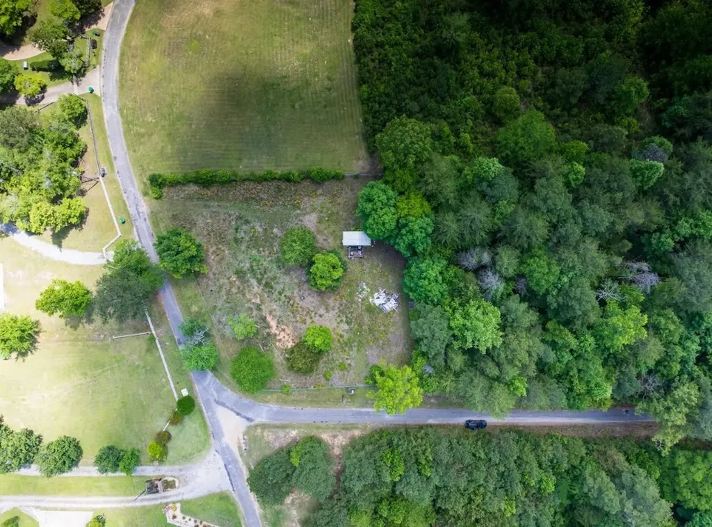 0 County Road 3084 Double Springs AL 35553