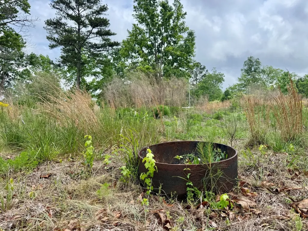 0 County Road 3084 Double Springs AL 35553