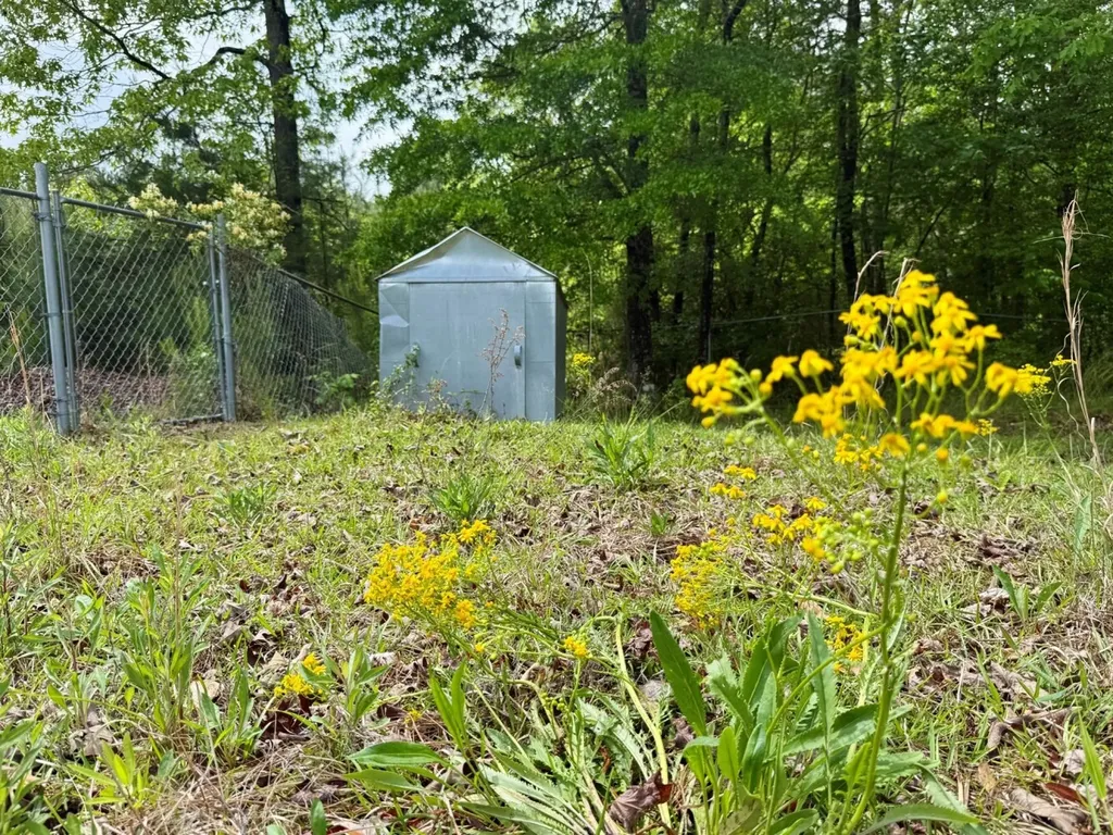 0 County Road 3084 Double Springs AL 35553