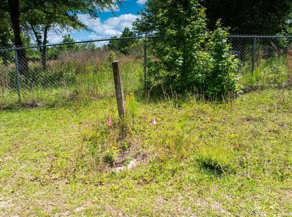 0 County Road 3084 Double Springs AL 35553