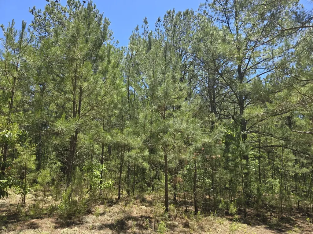 000 Williams Mill Road Clayton AL 36016