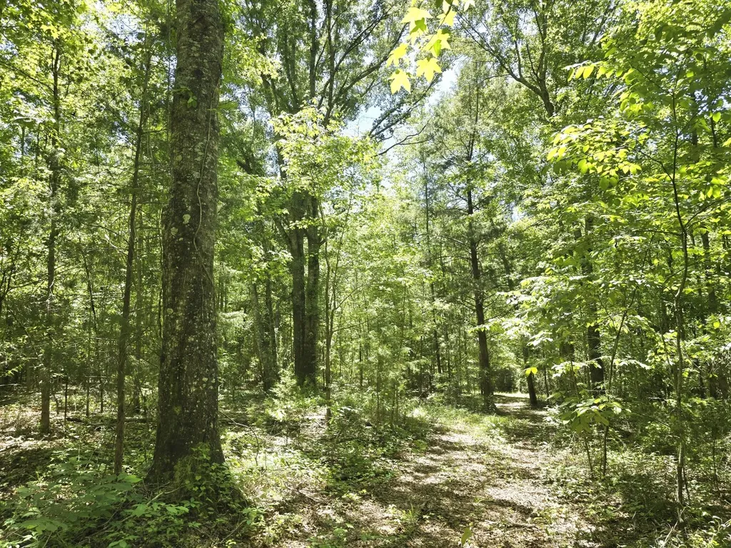 000 Williams Mill Road Clayton AL 36016