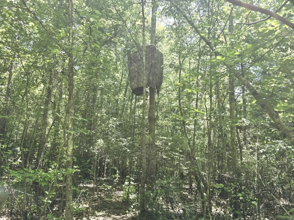 000 Williams Mill Road Clayton AL 36016