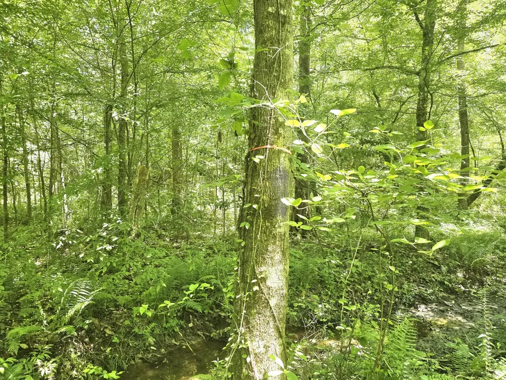 000 Williams Mill Road Clayton AL 36016