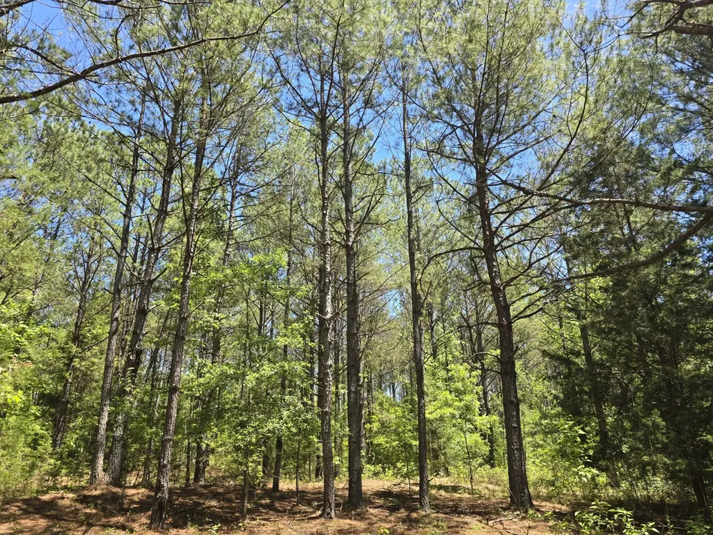 000 Williams Mill Road Clayton AL 36016