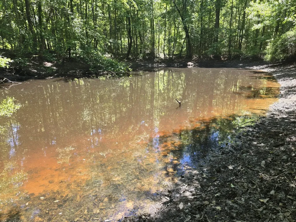 000 Williams Mill Road Clayton AL 36016