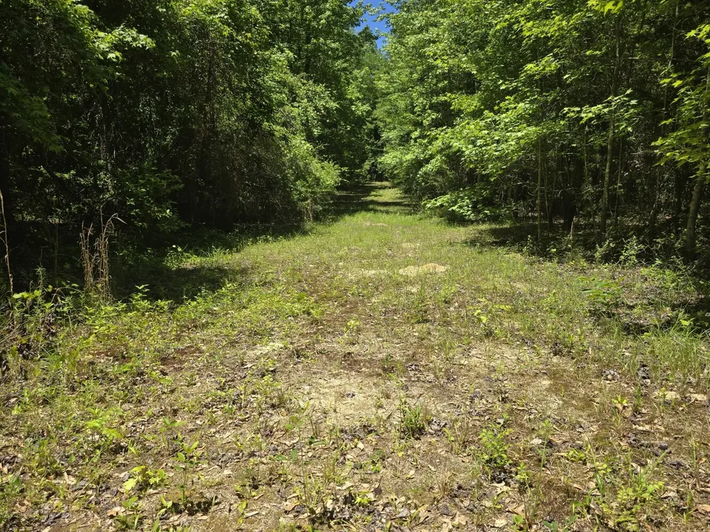 000 Williams Mill Road Clayton AL 36016
