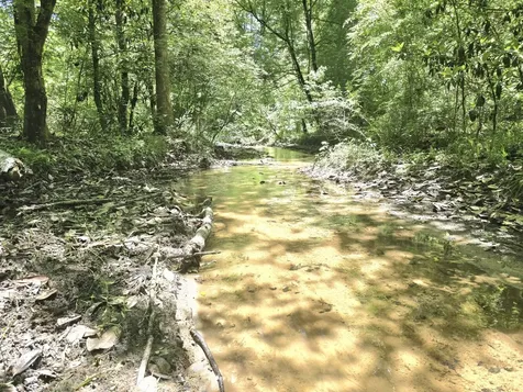 000 Williams Mill Road Clayton AL 36016
