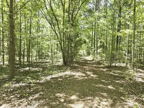 000 Williams Mill Road Clayton AL 36016