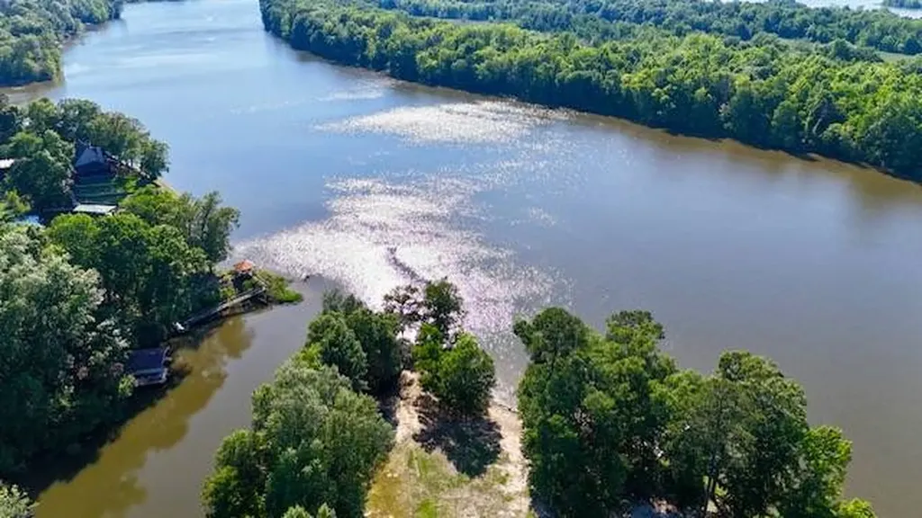 898 Lakeshore Drive Camden AL 36726