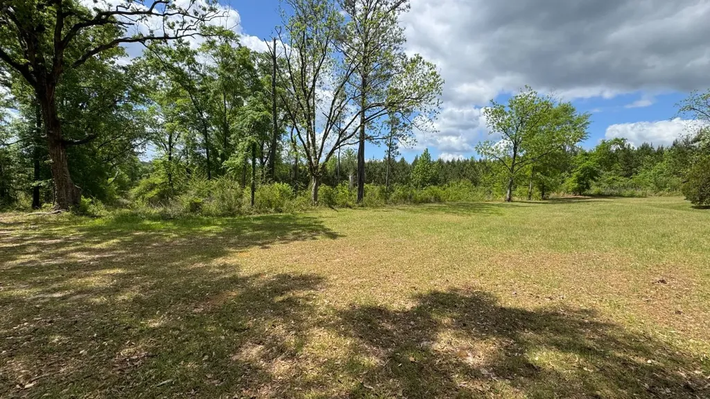 0 County Road 107 Red Level AL 36474