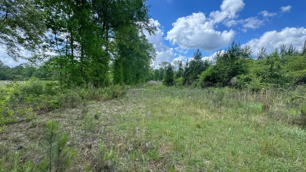 0 County Road 107 Red Level AL 36474