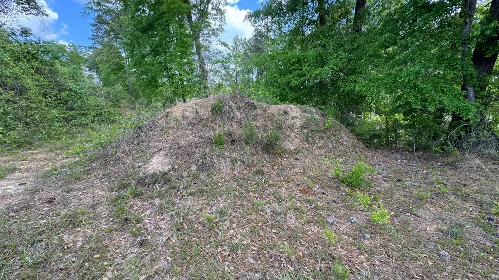 0 County Road 107 Red Level AL 36474