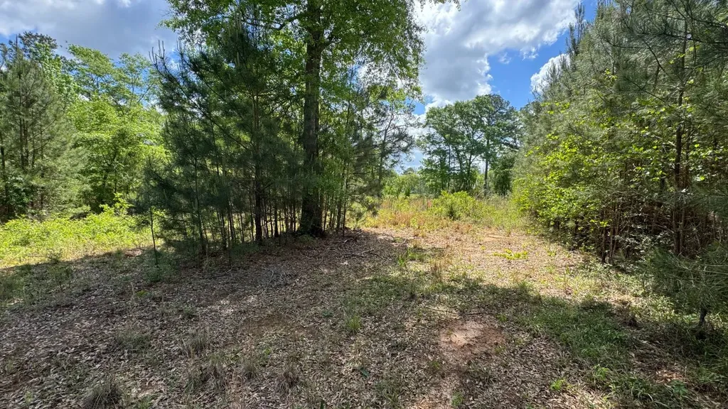 0 County Road 107 Red Level AL 36474