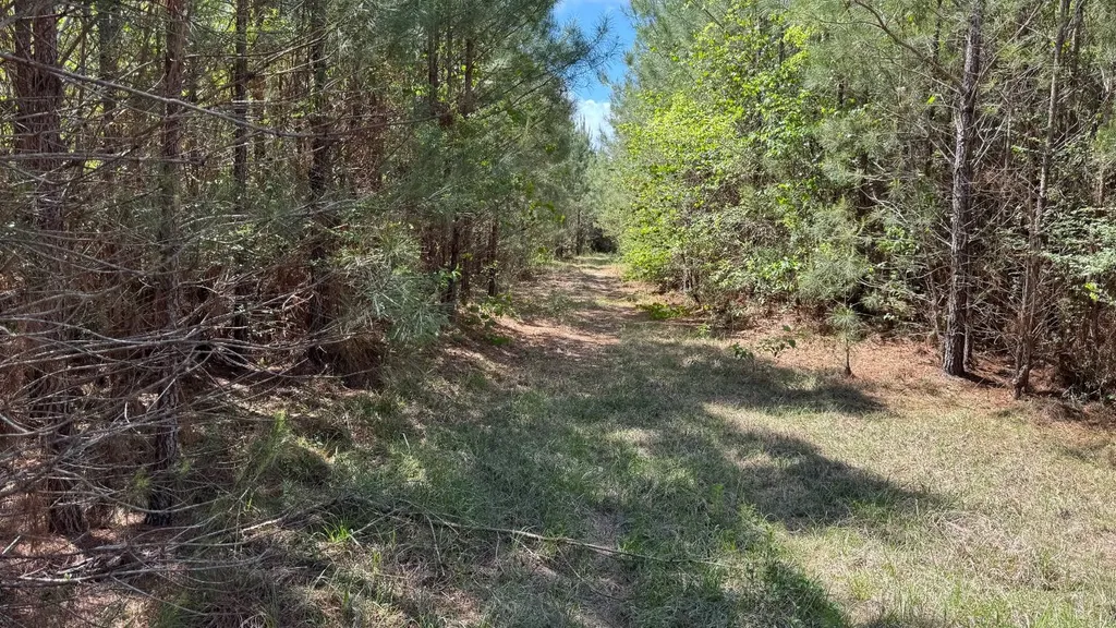 0 County Road 107 Red Level AL 36474