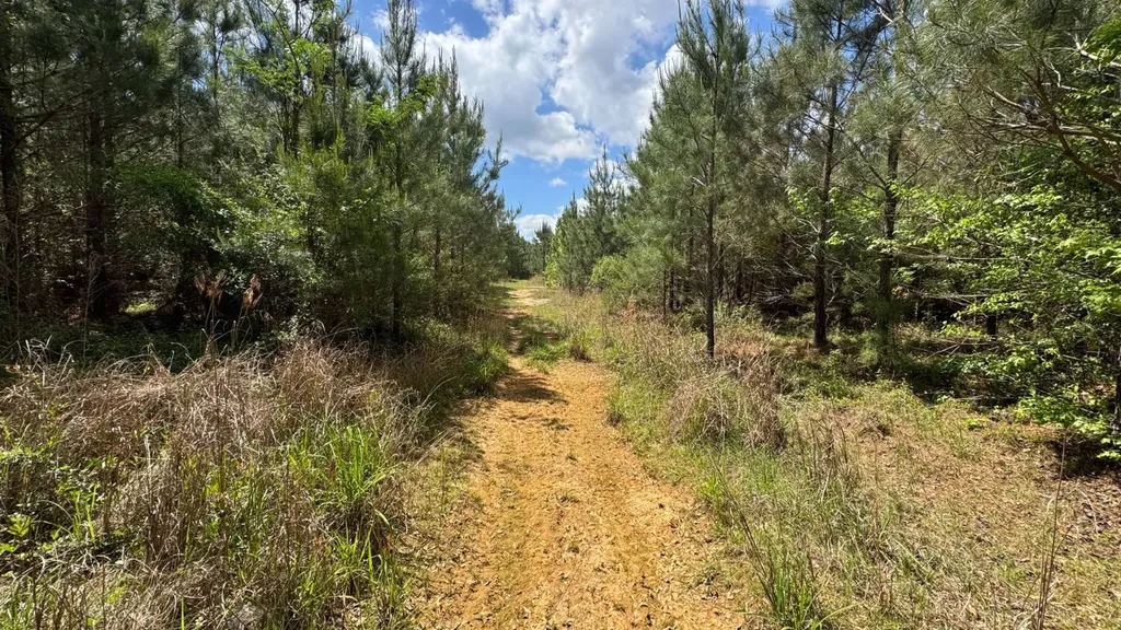 0 County Road 107 Red Level AL 36474