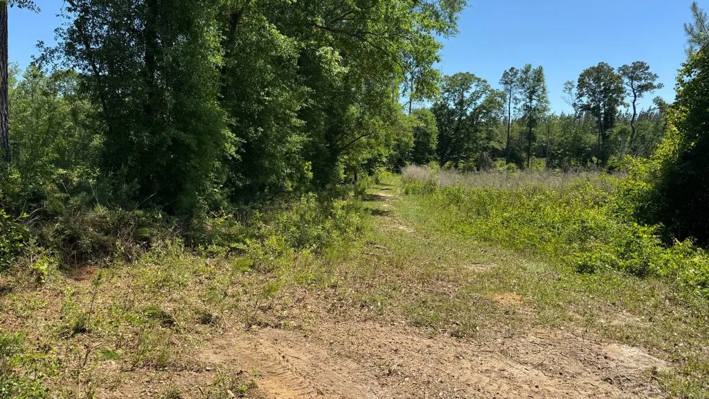 0 County Road 107 Red Level AL 36474
