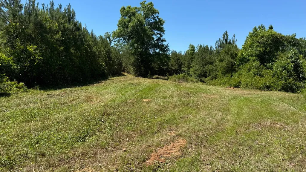 0 County Road 107 Red Level AL 36474