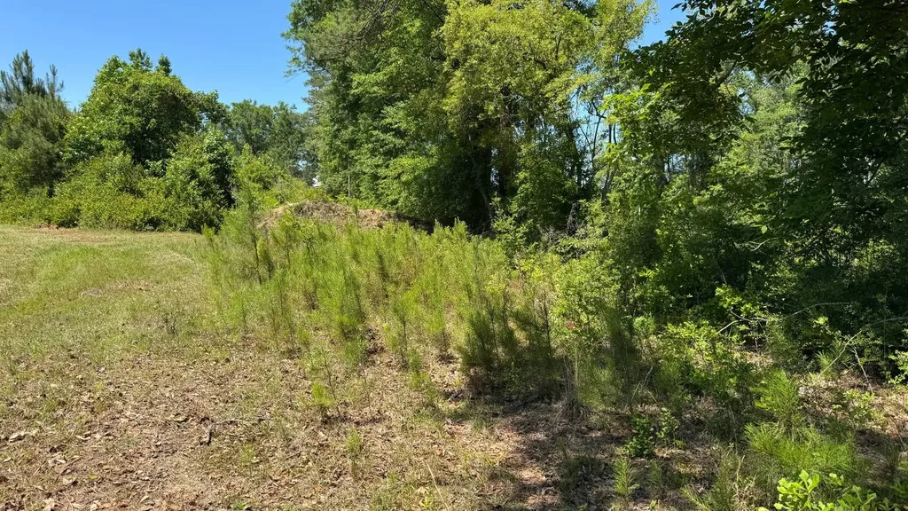 0 County Road 107 Red Level AL 36474