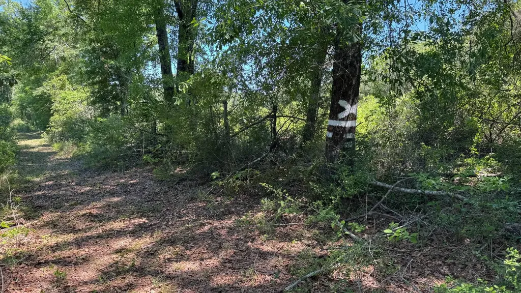 0 County Road 107 Red Level AL 36474