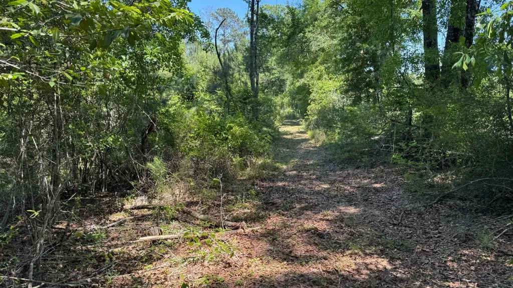0 County Road 107 Red Level AL 36474