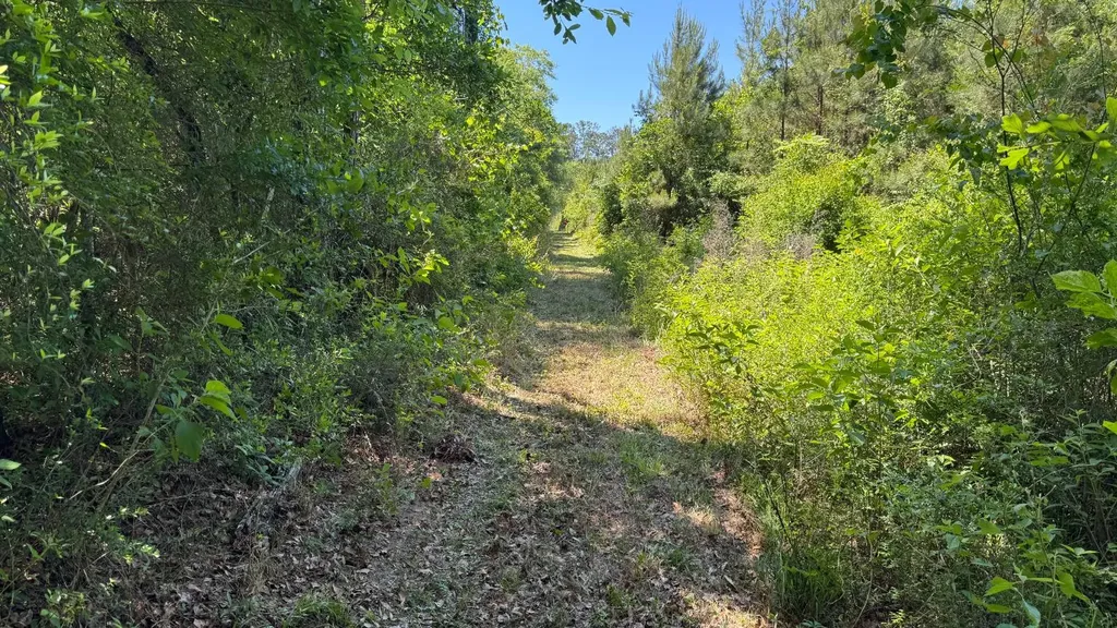 0 County Road 107 Red Level AL 36474