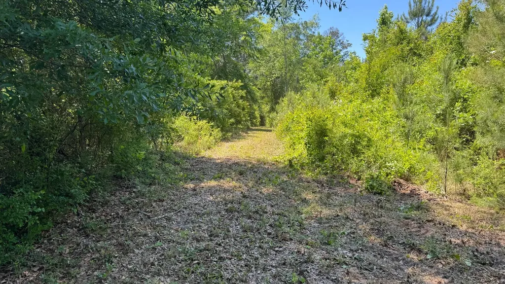 0 County Road 107 Red Level AL 36474