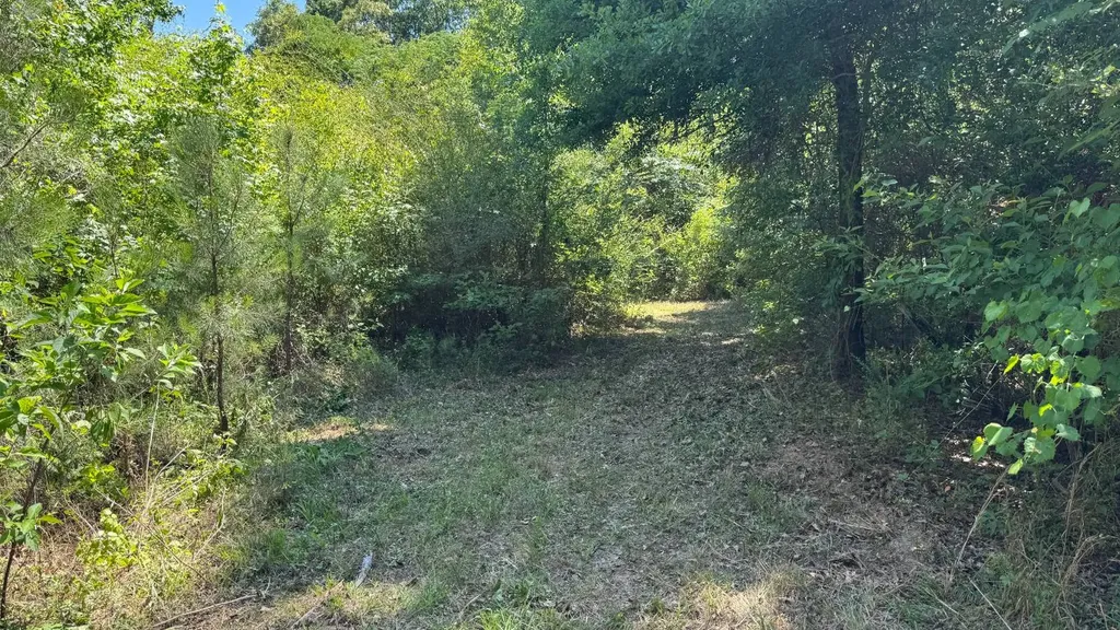 0 County Road 107 Red Level AL 36474
