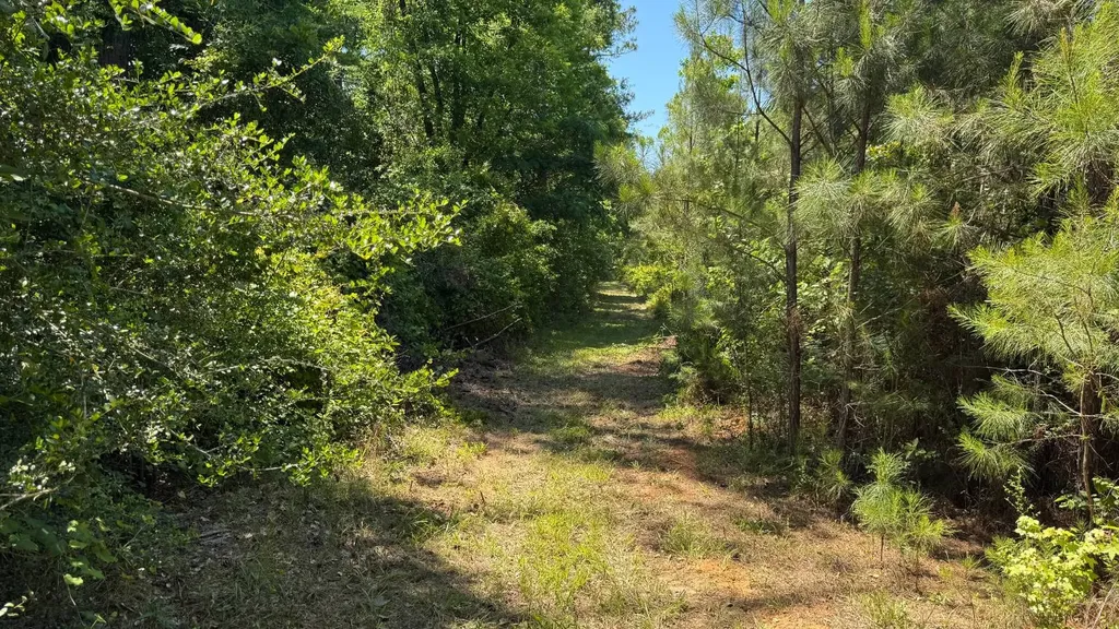 0 County Road 107 Red Level AL 36474