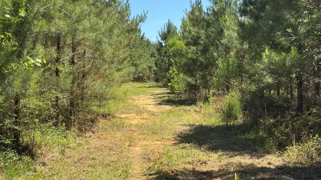 0 County Road 107 Red Level AL 36474