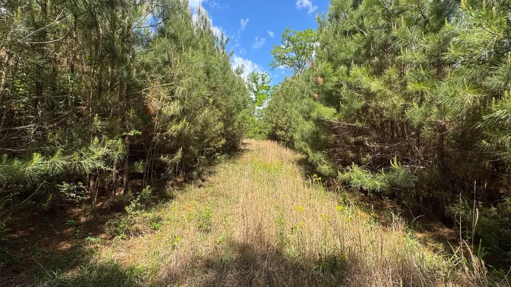 0 County Road 107 Red Level AL 36474