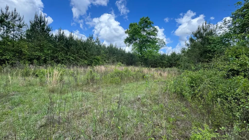 0 County Road 107 Red Level AL 36474