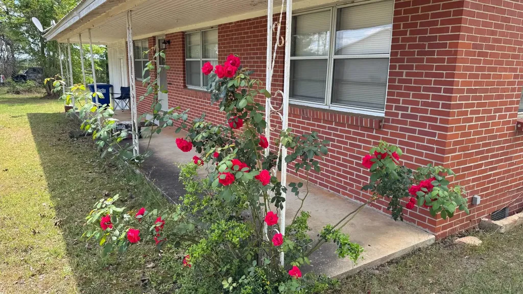 0 County Road 107 Red Level AL 36474