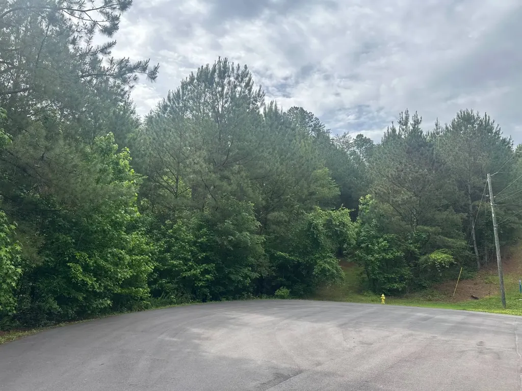 * Cornerstone Drive Calera AL 35040