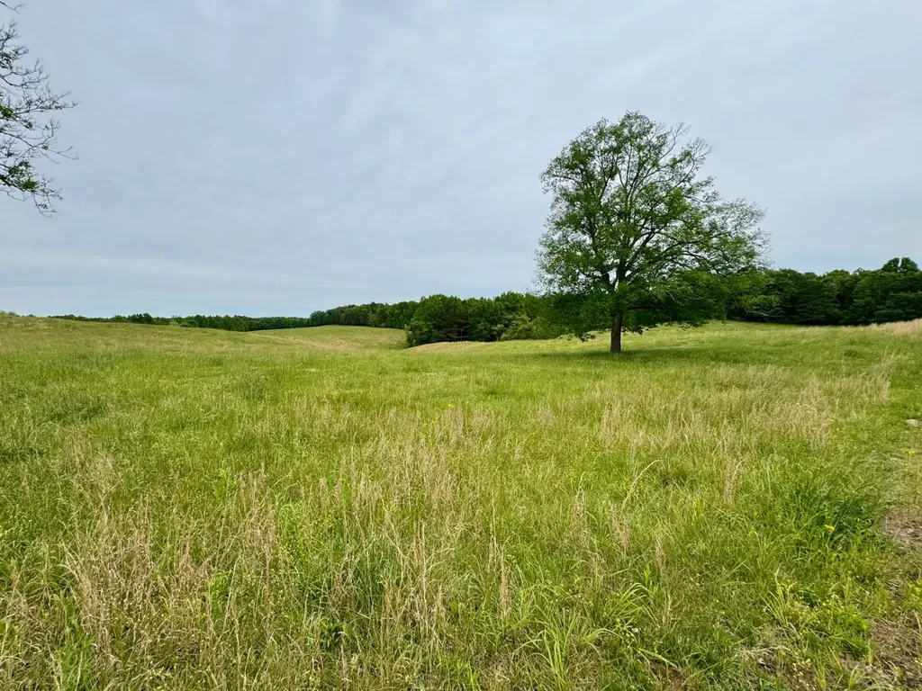 0 County Road 63 Houston AL 35572