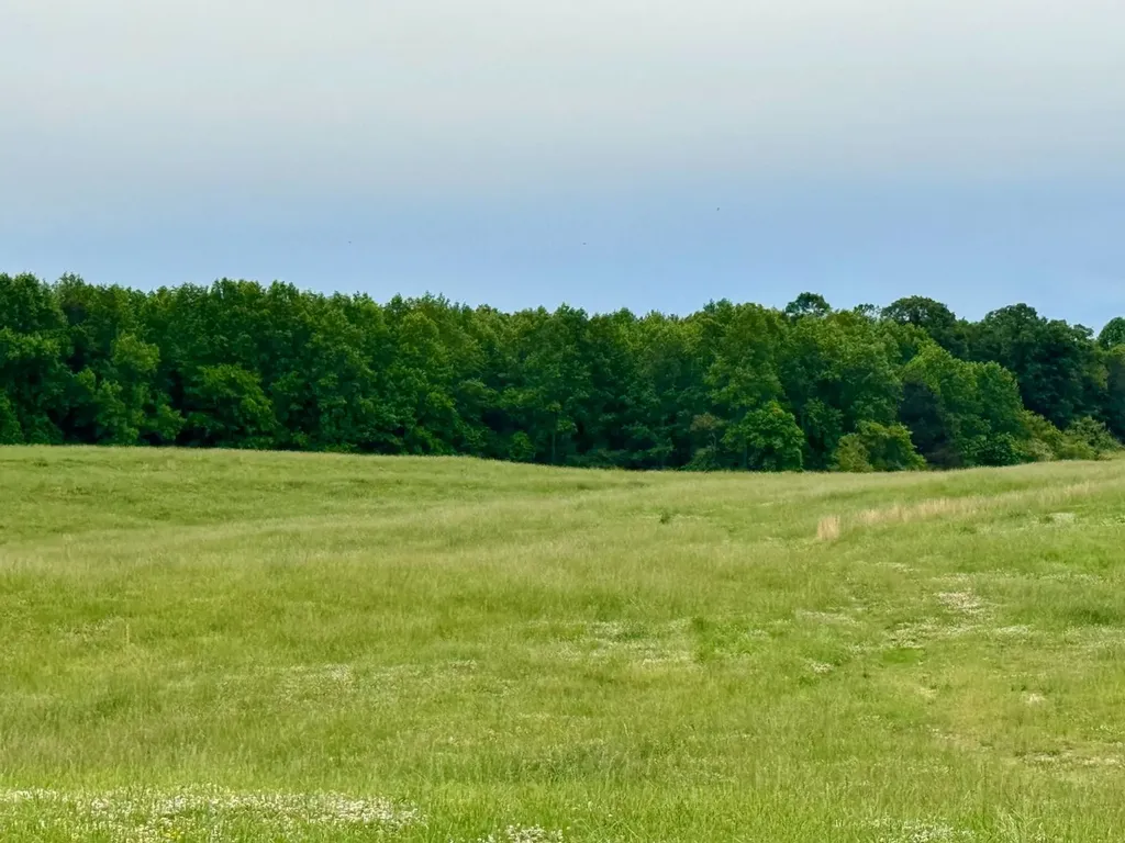 0 County Road 63 Houston AL 35572